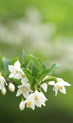 12.考虑我们给父母多少回报，给父母多少安慰。