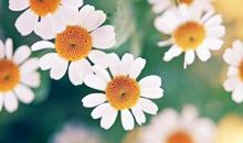 上火了不开心的句子