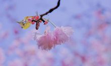 挽回老婆开心的句子