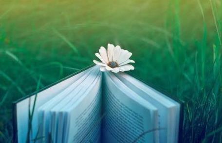 11.远处的霓虹灯照亮，像明亮的彩虹，像仙女的裙子在跳舞，像多彩的桥，像耀眼的华丽云朵。