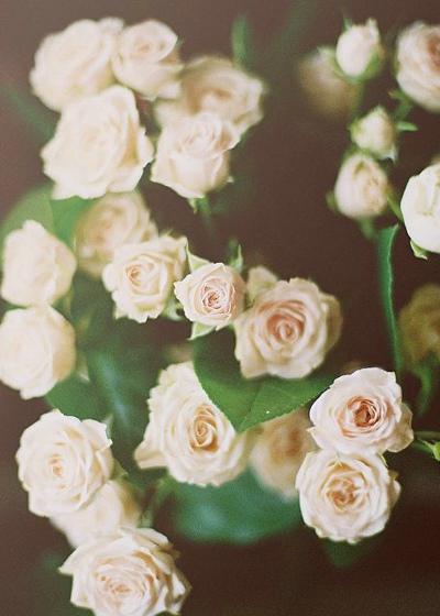 12.淡淡的秋天，无声的祝福，当您看到树叶落下时，这是您收到幸福信息的时刻。这不是因为树无法停留，也不是因为追逐风，而是希望您幸福。