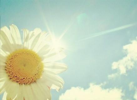 12.如果一个人真的想见你，他将使用各种方法搜索世界以找到你。