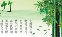 有关竹子的句子