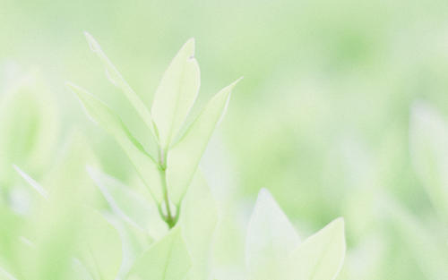 11.什么是大的？哥哥大。更重要的是？我女友很大更重要的是？情人。最大的是什么？家庭亲情。