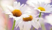 关于扎心的亲情句子