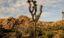 描述风景的句子