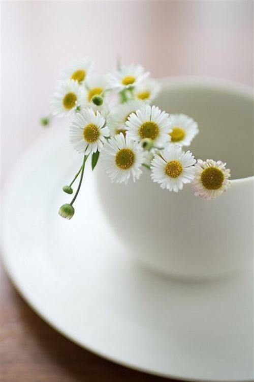 11.伟大的爱情是无言以对的，真正的爱情是无言以对的。当我们回想起爱情