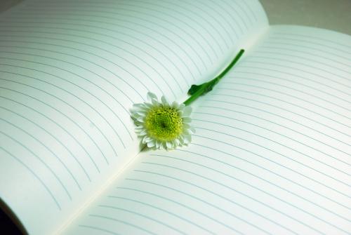 12.我姐姐在家并不富裕，但她愿意把零花钱给您。