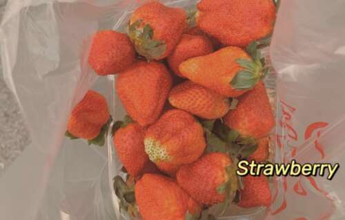 关于旅行的漂亮句子