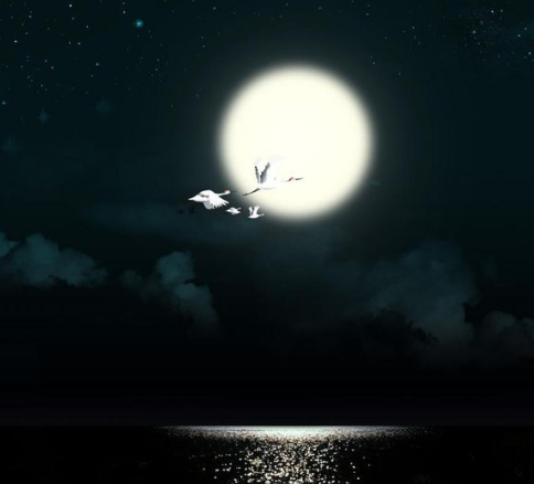 描述月光的句子