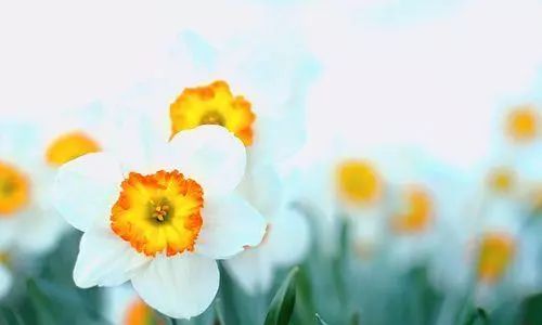 10.作为男人，他是儿子或父亲。儿子的前半部分是父亲的影子，父亲的后半部分是儿子的影子。