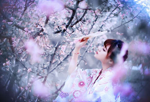 关于雪的审美句子