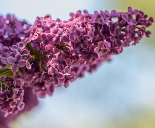 10.什么是感情？当您害怕时，家庭亲情是亲戚给予您的照顾和安慰。