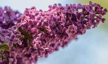 郭敬明关于亲情的句子