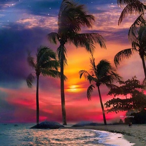 10.在这个世界上，没有人比我们父母更爱我们。