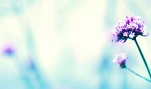 历史人物体现亲情句子