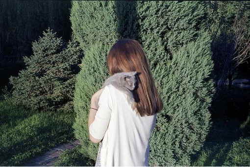 QQ心情谈大全与图片