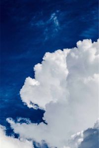 10.家庭感情是雨水，它消除了烦躁情绪，使光线凉爽。家庭之情是风，它吹走了悲伤，留下了幸福；