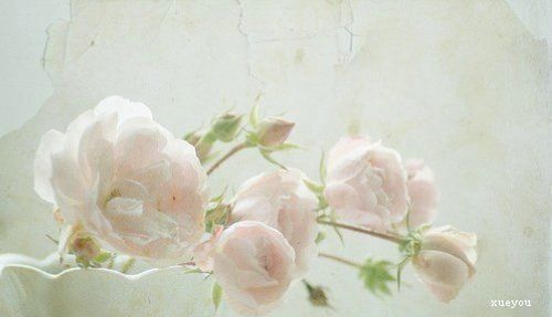 唐骏关于职场的励志句子