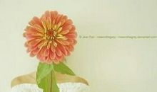 十句关于青春的句子和亲情的句子