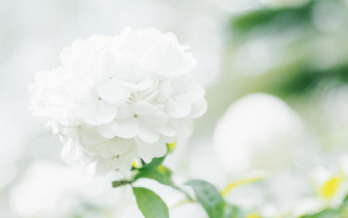 10.当我第一次进入新环境时，我很期待它。我希望我有好朋友，希望每天都开心。