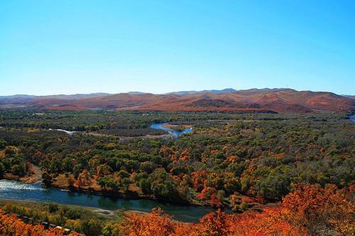 11.过多的友谊将化为灰烬...