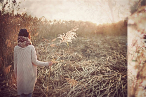 关于失踪的句子2