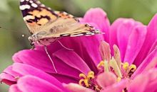 形容很开心搞笑的句子说说心情