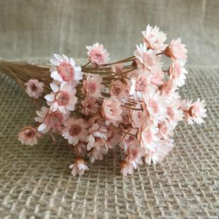 10.每天放学后回到温暖的家中，都会闻到强烈的食物味。有时，当我完成作业的一半时，我会听到妈妈大喊“开始吃饭”。这时候，我很高兴。哈哈哈的烹饪水平是一流的，每当同学和朋友每次品尝哈哈哈的手工艺时，我都会说我“真的很高兴”。当时，我感到非常自豪。在餐桌上，我大吃一口甜美可口的食物，并赞扬了哈哈哈的工艺。我的母亲总是微笑着。我想她一定很高兴。