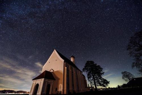 11.据说人们只有两种选择，忙于死亡或忙于生活。我想我还有第三种选择：忙着等待死亡。