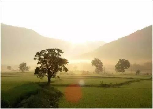 12.我不后悔爱上你并尊重故事的结局。希望在2020年我们都能有更好的一年。