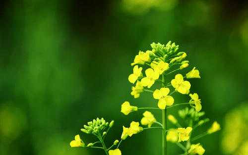 10.人生中最重要的事情是互相了解，互相了解。在逆境中认识朋友，友谊是永远的。