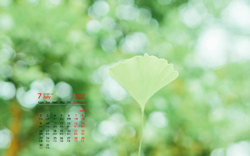 11.今晚，我们三个有卡拉OK的空间〜我们也和我们的两个姐姐玩得很开心