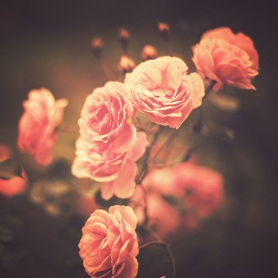 10.我在人生的转折点等你,让我像昨天一样问你,你愿意和我一起走。