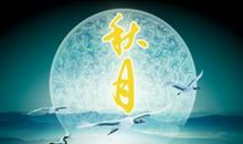 描写秋月的句子
