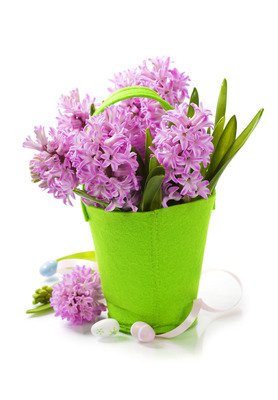 9.春季收集冰水，夏季收集荷叶，秋季收集微风，冬季收集李子花，在怀念的烈火下慢慢折磨，并制成冰提神的茶，希望为您消除夏天的疲劳。这个周末你很轻松愉快！