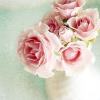 12.什么是家庭感情？她是向往的起点，但没有终点。这是对家的怀旧和对团圆的向往。