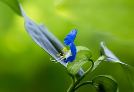 12.您永远无法想象母亲会为自己的孩子做什么,累,困,甚至生活……孩子,只要有您,母亲就是万能的,无敌的!