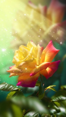 11.和谐的家庭空气是世界上的一种花。没有什么比它更温柔了，没有什么比这更适合培养一个家庭强壮和正直的本性了。德雷赛