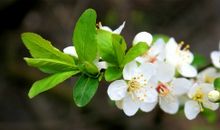 有关亲情爱的优美句子大全