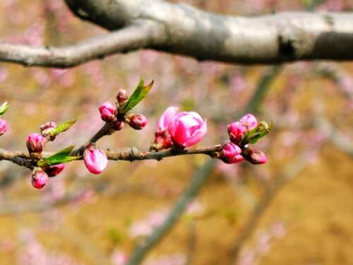 11.不要在工作中太累,慢慢地体验生活。健康真的很宝贵。对与错无关紧要。真爱是最宝贵的。失败是没有错的。成功可能太累了。这也是普通赚钱的味道!!