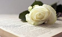 有关感恩亲情的名言和句子