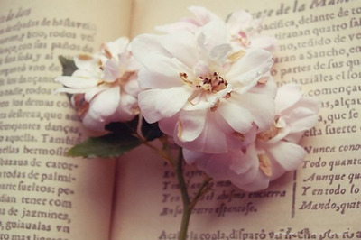 10.但是没有母爱，即使世界上有宝藏，也不过是一堆商品。