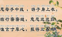 关于孝心的优美句子