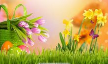 关于赞颂亲情的句子