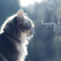 10.我的父母一直以为我不会长大，他们错了。我一直以为我的父母不会老，我错了。祝一切顺利！