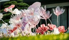 珍惜亲情哲理句子说说心情