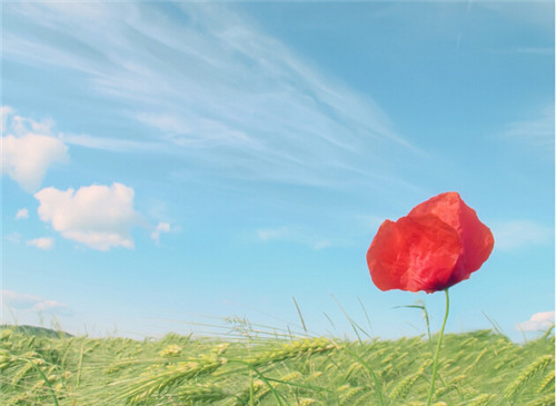 关于他人的经典言论必须评论第十一期