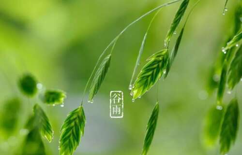 16.长毛毛雨适度地飞行，阵雨缠绵，雨季多雨，我想念你。外面出门令人担忧，雨季的费菲菲，祝你幸福快乐，品位佳佳，并为你谦卑快乐。