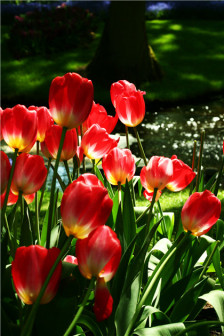 9.我们每个人来到世间时所拥有的这种家庭感情是平凡的，因此不能称其为伟大。